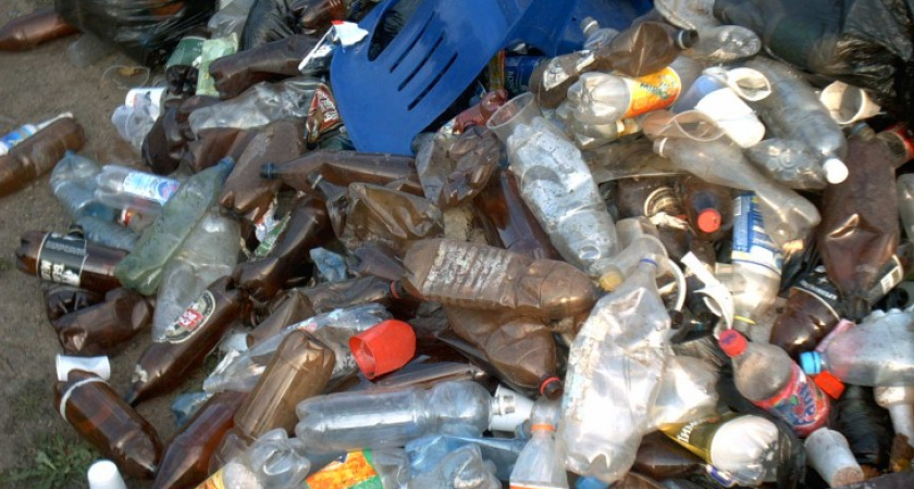 В Воронеже вместо дворников мусором займутся блогеры