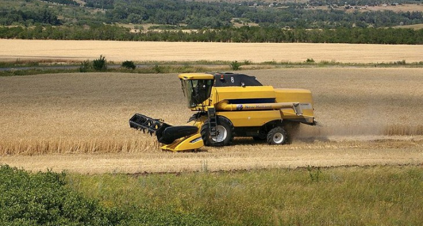 Ураган уничтожил посевы на юге Воронежской области