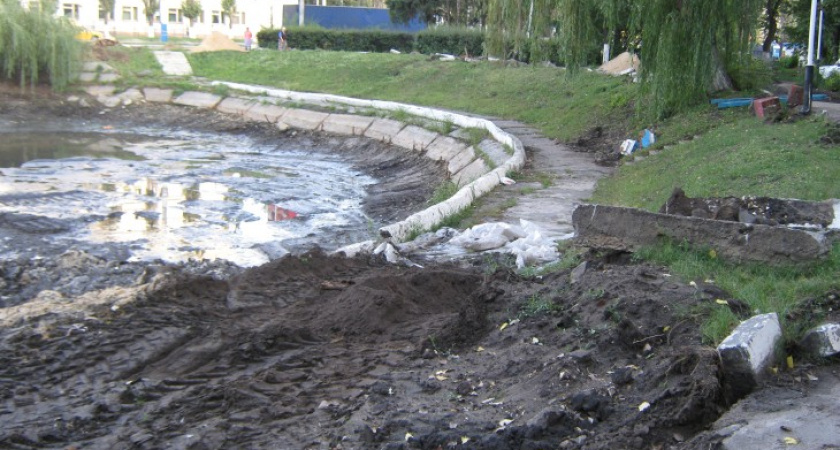 В Воронеже расчистить Лебединое озеро в срок не успели