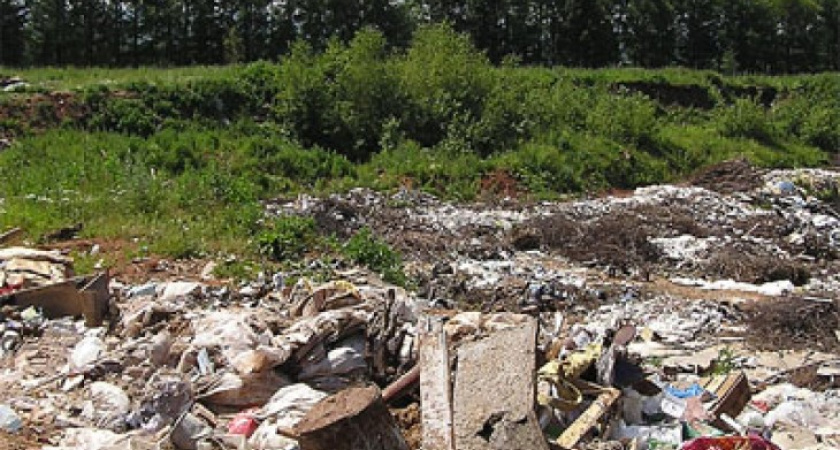 В Воронежской области обнаружили еще одну нелегальную свалку