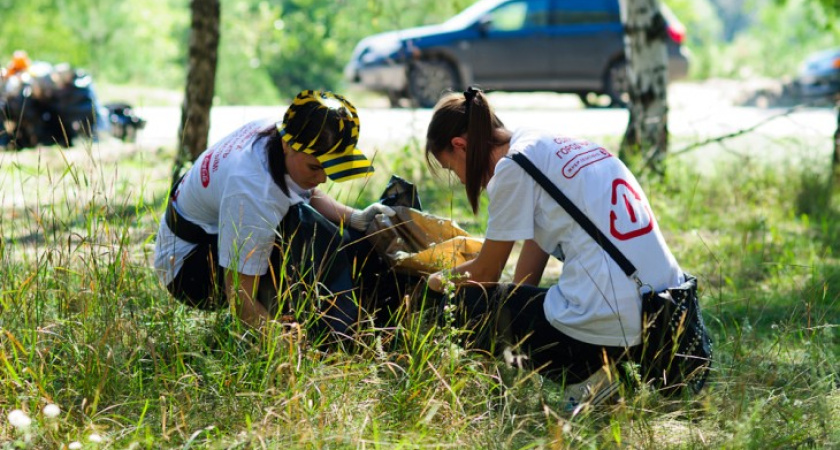 В Воронеже на призыв блогеров убрать мусор откликнулись около 100 человек