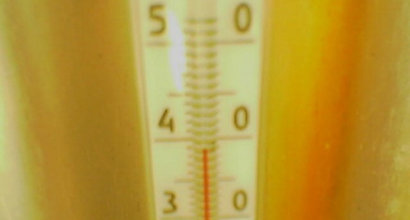 В Воронежской области аномальная жара продержится еще минимум два дня