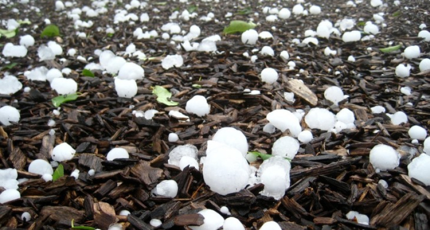 Синоптики предупреждают: ночью в Воронежской области пройдет град
