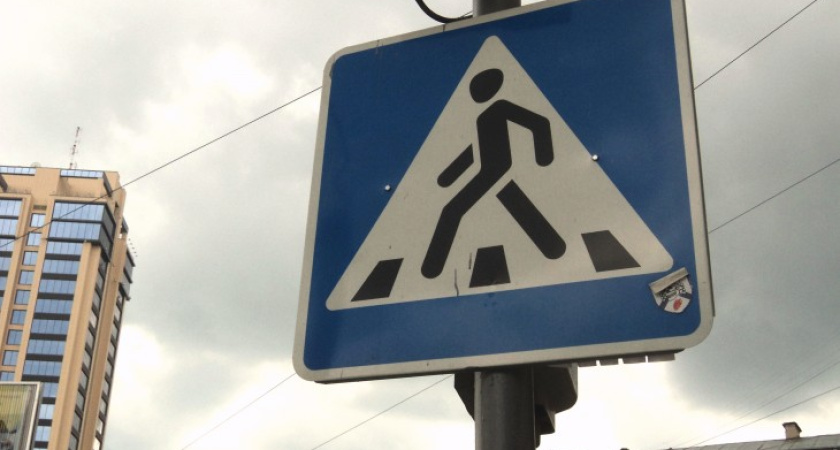 В Воронежской области деревенские дети знают ПДД лучше городских