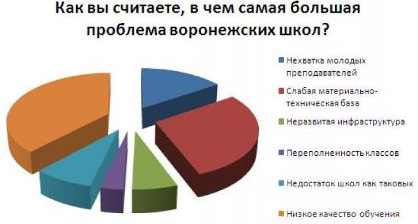 Главной проблемой воронежских школ читатели интернет-газеты «Время Воронежа» назвали низкое качество обучения