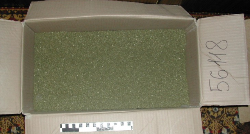 За сбыт марихуаны житель Воронежской области получил более 8 лет