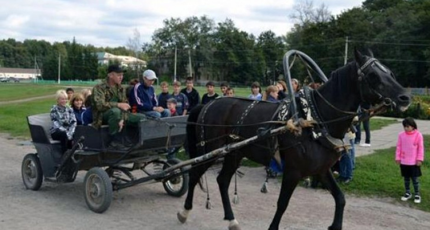 Налоговики Воронежской области устроили для детей из интерната экскурсию на конный завод