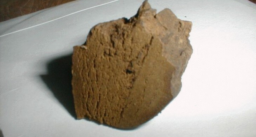 В Воронежской области задержан водитель с крупной партией гашиша