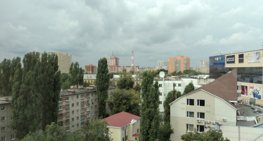 Теплая погода пришла в Воронеж надолго