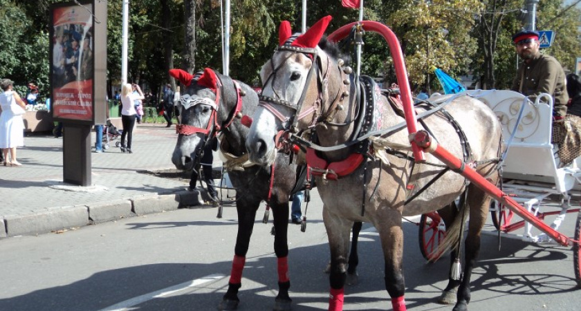 В Воронеже площадь Ленина на&nbsp;День города превратилась в&nbsp;балаган