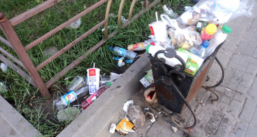 Из центра Воронежа после юбилея вывезли более 5 вагонов мусора