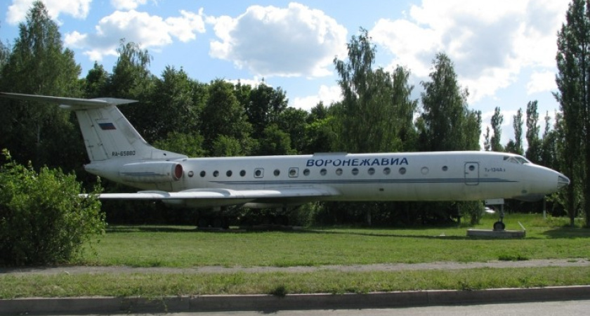 Алексей Гордеев сделал внушение гендиректору воронежской авиакомпании «Полет» за плохую работу