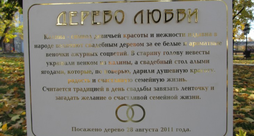 У воронежских влюбленных официально появилось свое место