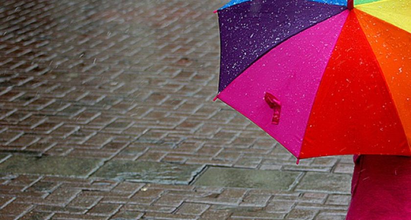 Воронежцы отметят День разноцветных зонтов танцевальным флешмобом в центре города