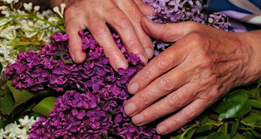 Воронежским школьникам предложили рассказать фотоисторию о своих любимых бабушках