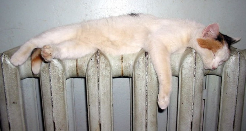 Мэрия: в Воронеже тепла нет только в одном доме