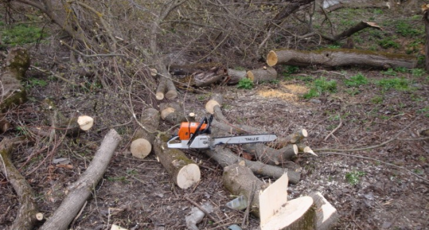 Прокуратура Воронежской области пожурила управление экологии за внеплановые проверки