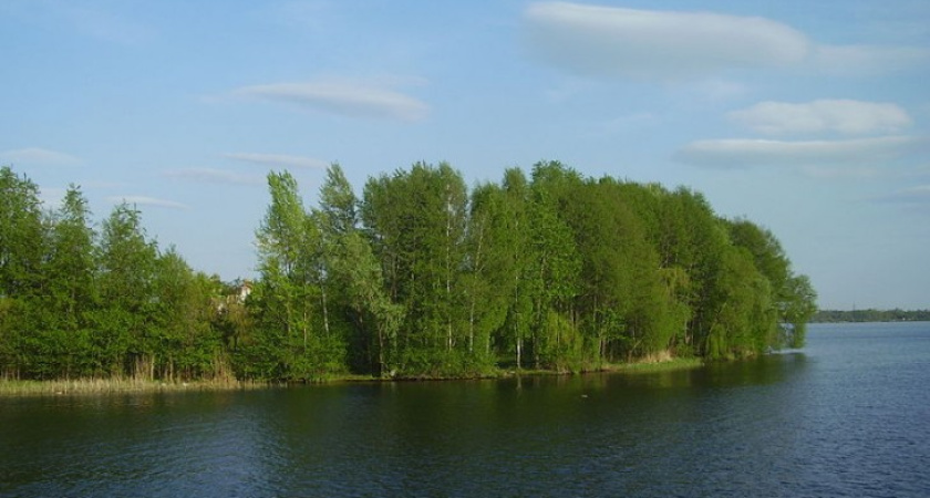 Воронежские монархисты к 400-летнию дома Романовых предлагают создать музейный комплекс на Петровском острове