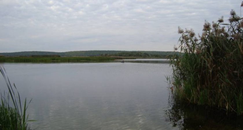 Воронежцам не нужны пруды за деньги