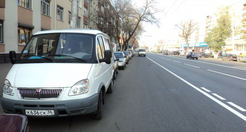 В Воронеже каждый день за неправильную парковку штрафуют всего 13 водителей