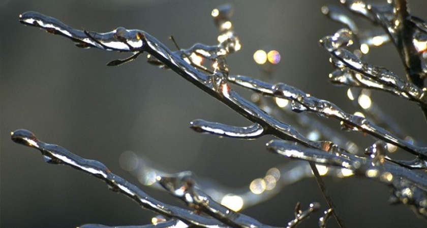 Воронежские автомобилисты срочно «переобуваются» на зиму