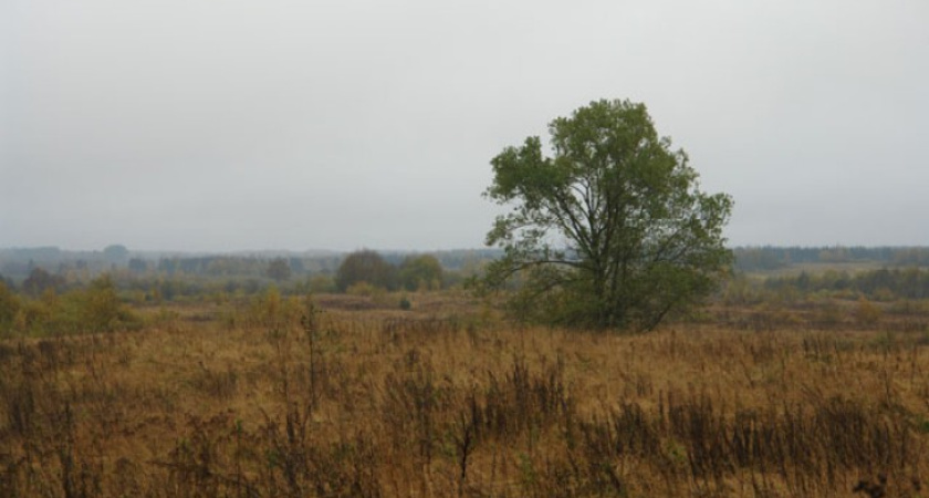 Воронежские следователи выясняют, почему ветеран войны прописана в чистом поле