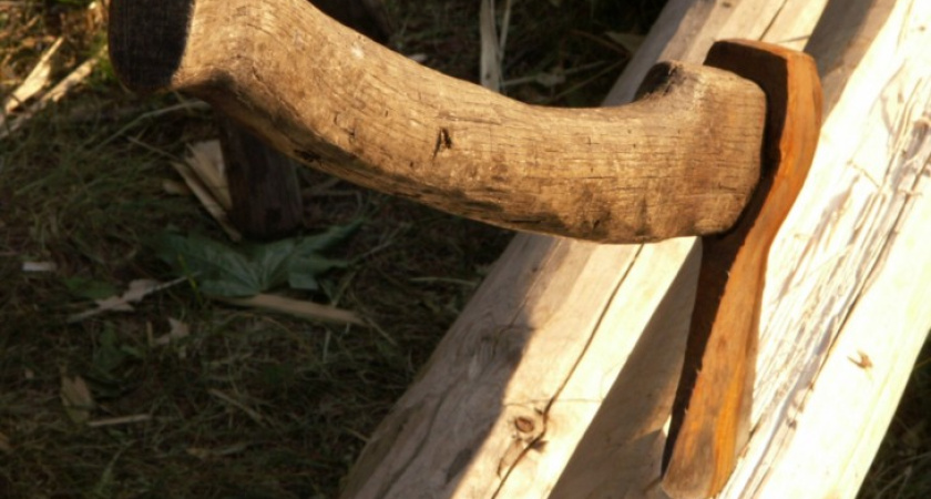 Более ста вековых дубов незаконно вырубили в Богучарском районе