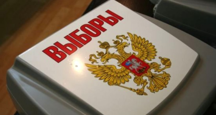 Воронежские полицейские контролируют безопасность выборов