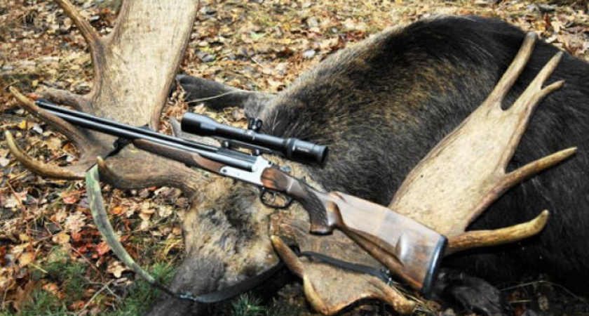В Воронежской области незаконно отстреливают парнокопытных