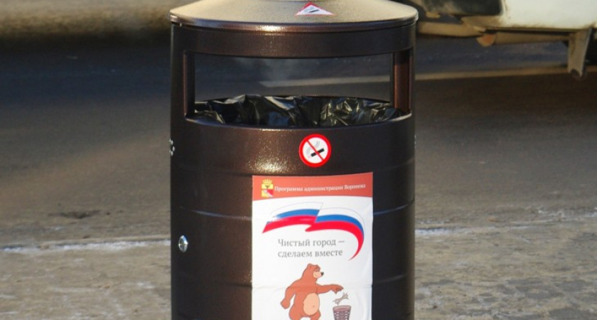 В Воронеже появится более 200 антивандальных урн
