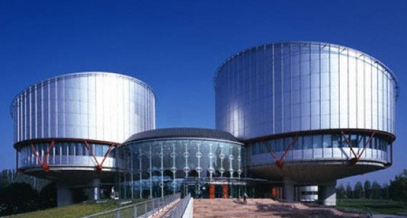 Адвокат СМИ из Воронежа могла бы стать судьей Евросуда?