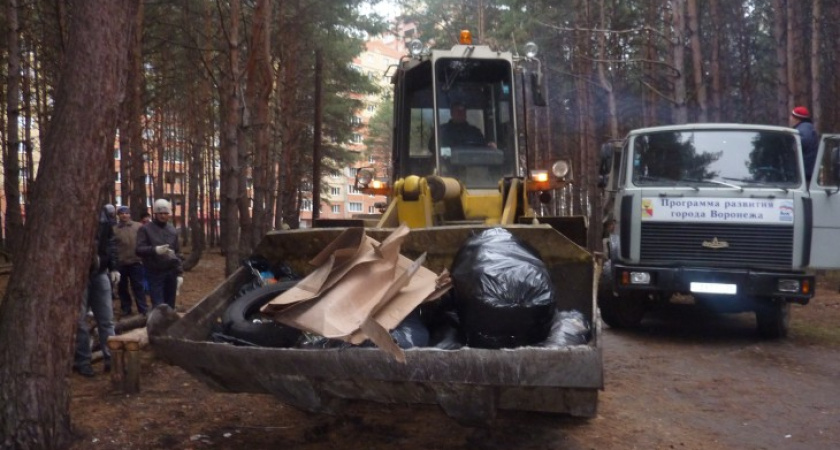 Воронежские "коминтерновцы" вышли на зимний субботник