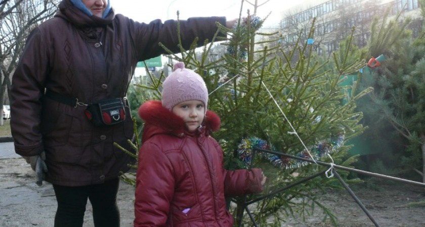 В Воронеже елочные базары сбавляют темпы продаж