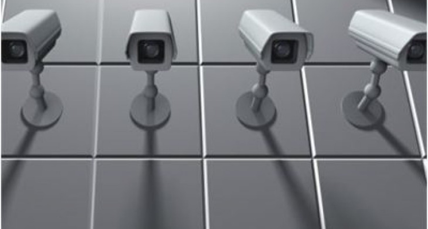 Воронежские избирательные участки "смотрят в мир"