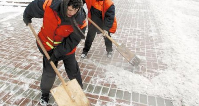 В Воронеже чистота дворов на народном контроле