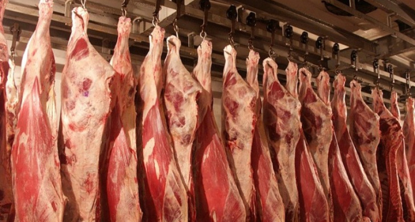 Воронежская область сама обеспечивает себя мясом