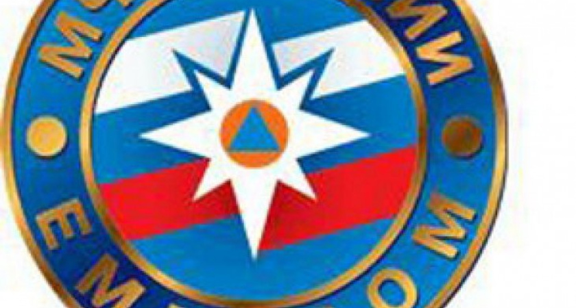 В Воронежской области в службу спасения можно будет звонить нажатием одной кнопки