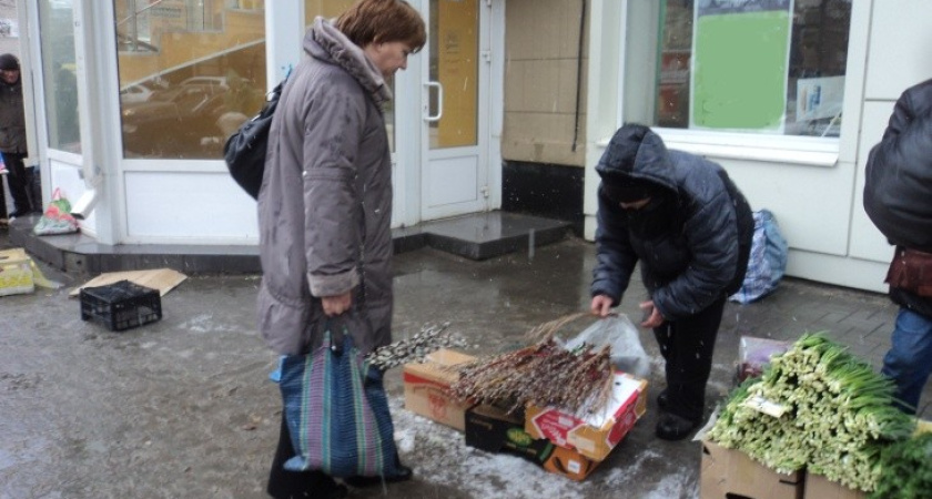 К выходным вербы в Воронеже будут продавать втридорога