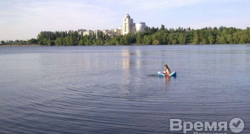 В воронежском водохранилище дети плещутся рядом с дохлой рыбой