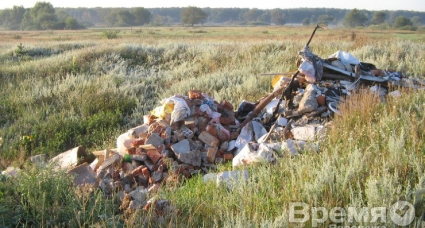 В чистейшем уголке Воронежа, где живут цапли и чибисы, выросла гигантская свалка