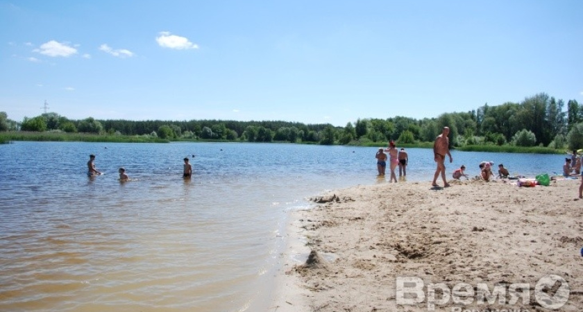 Роспотребназор: В Воронеже можно купаться только на четырёх пляжах