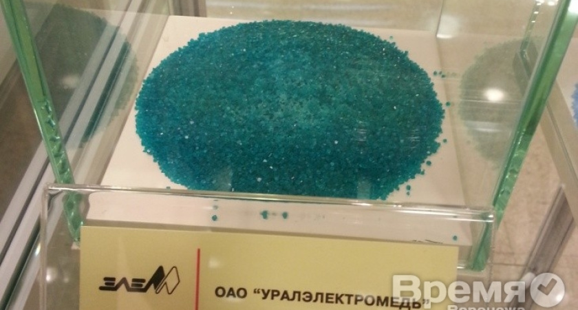 «Глупые мифы об УГМК появляются потому, что компанию в Воронежской области почти не знают»