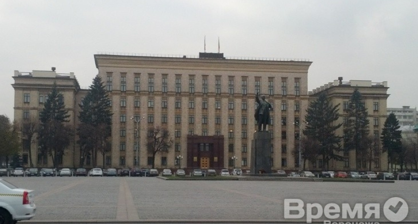 Правозащитники оценят площадки в Воронеже, где могут разместить гайд-парки