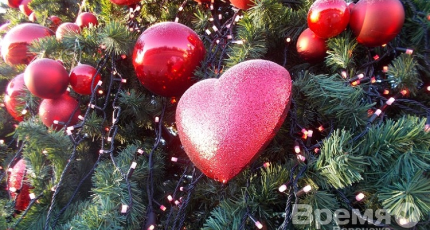 Чем воронежцам запомнился ушедший 2012-й год