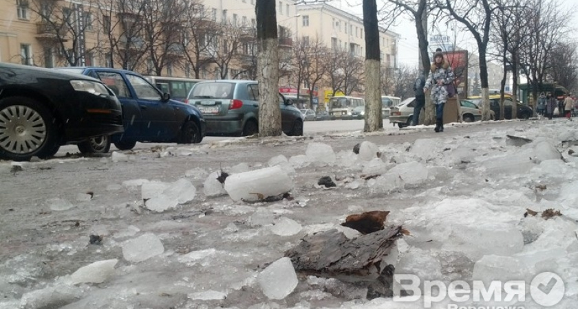 «Воронеж станет удобнее, если центр перекрыть для личного транспорта»