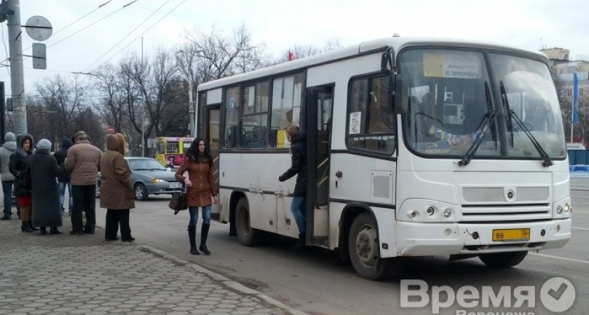 Воронежских водителей маршруток обяжут следить за чистотой салона и быть вежливыми с пассажирами