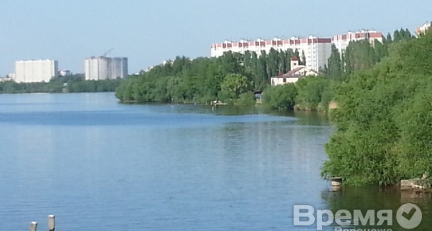 В воронежском водохранилище горожане открыли купальный сезон