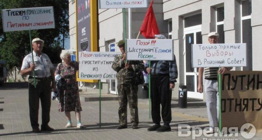 Воронежцы вышли на пикет против отмены муниципальных выборов
