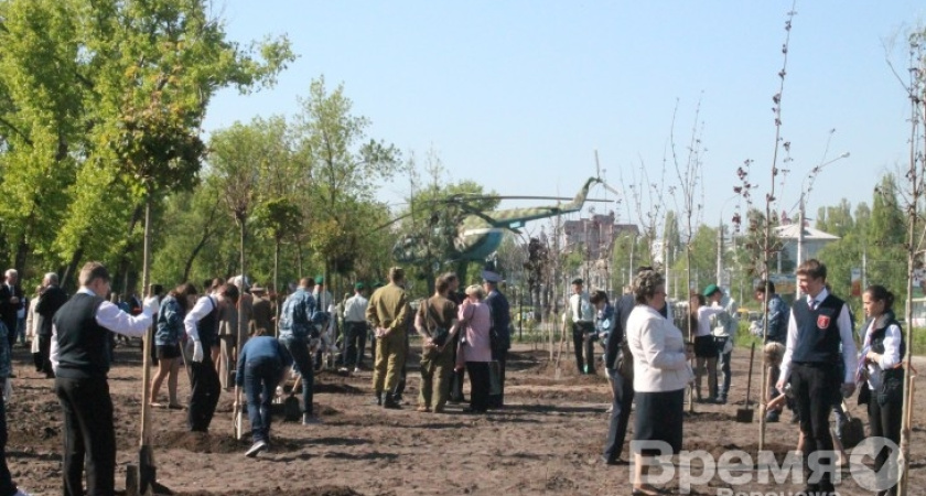 За тем, как в Воронеже приживутся две тысячи деревьев, проследит управление экологии