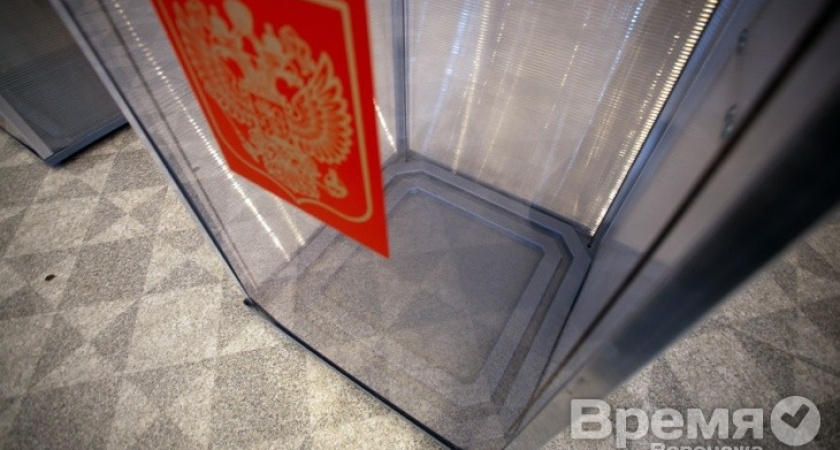 На выборах мэра Воронежа будут использовать как прозрачные, так и деревянные урны